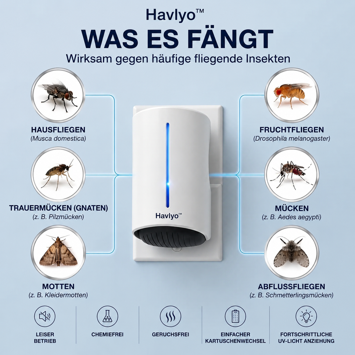Havlyo™ Insektenfalle – Schluss mit Fliegen & Mücken im Haus - 6 Geräte